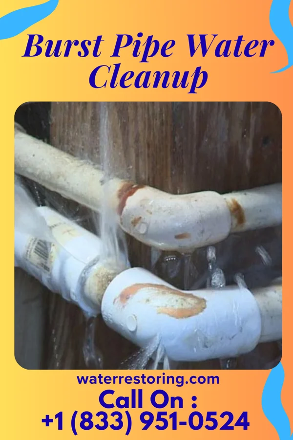 Burst Pipe Water Cleanup in Lumber Bridge, NC