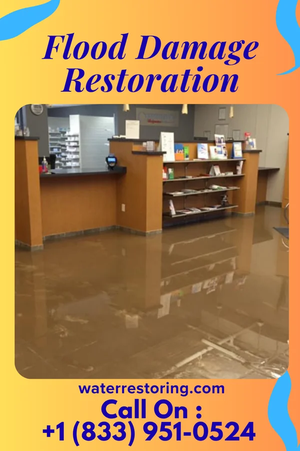 Flood Damage Restoration in Lumber Bridge, NC