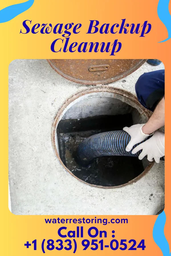Sewage Backup Cleanup in Lumber Bridge, NC