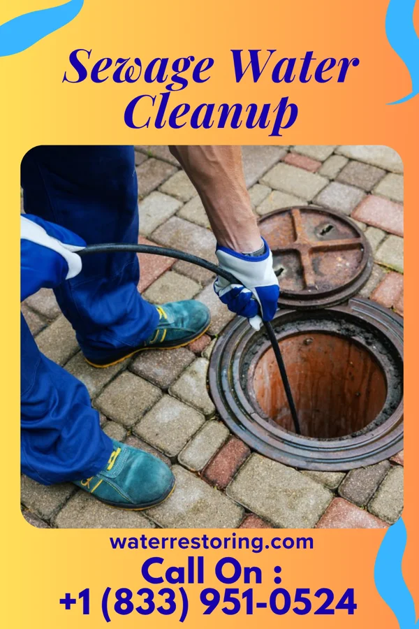 Sewage Water Cleanup in Lumber Bridge, NC