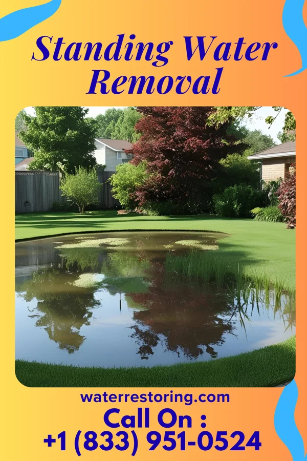 Standing Water Removal in Lumber Bridge, NC